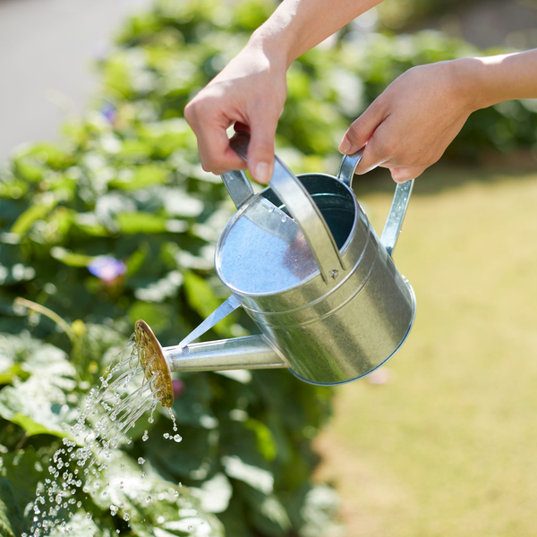 Watering Equipment