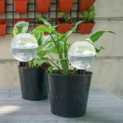 Plastic Automatic Plant Watering Bulbs 500ML Globe Drip Irrigation