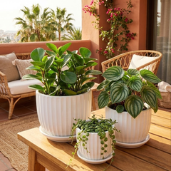 White Ceramic Planter Pot Set Fluted Design with Matching Saucers