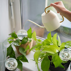 Plastic Automatic Plant Watering Bulbs 500ML Globe Drip Irrigation