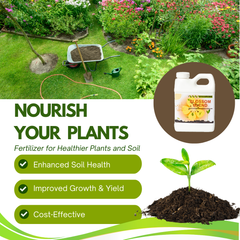Blossom Blend - Balanced Fertilizer Formula for Blossom and Growth-1