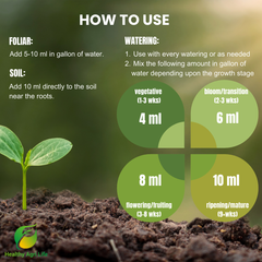 Blossom Blend - Balanced Fertilizer Formula for Blossom and Growth-2