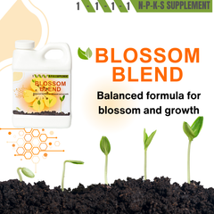 Blossom Blend - Balanced Fertilizer Formula for Blossom and Growth-3