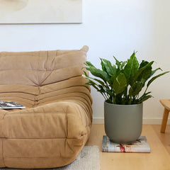 Bell Planter