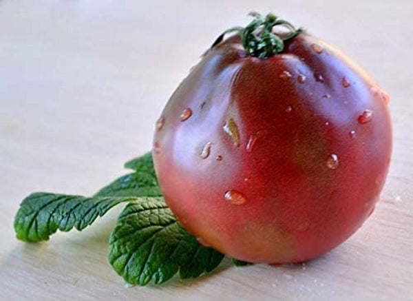 Organic Black Truffle Japanese Tomato Seeds Non GMO Easy Grow