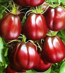 Organic Black Truffle Japanese Tomato Seeds Non GMO Easy Grow